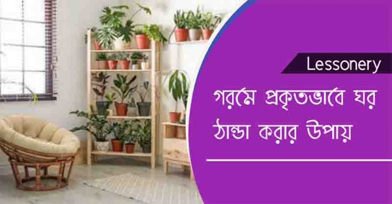 প্রাকৃতিকভাবে ঘর ঠান্ডা করার উপায়