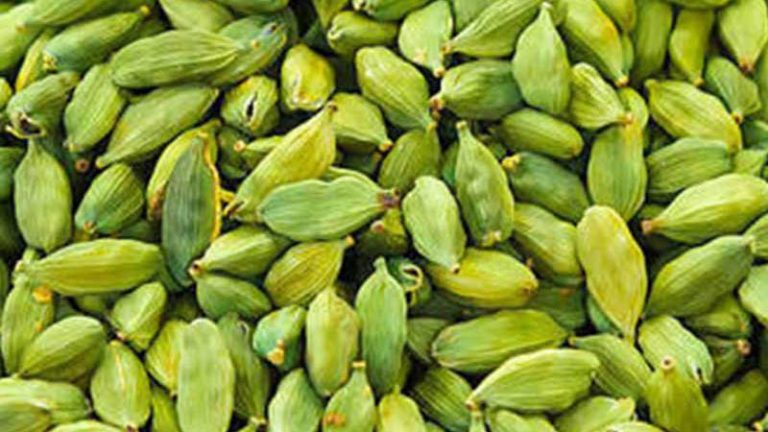 এলাচের অবিশ্বাস্য উপকারিতা
