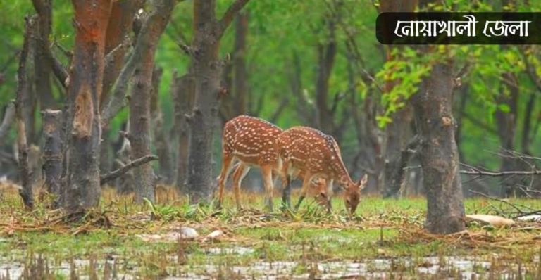 নোয়াখালী জেলা কেন বিখ্যাত