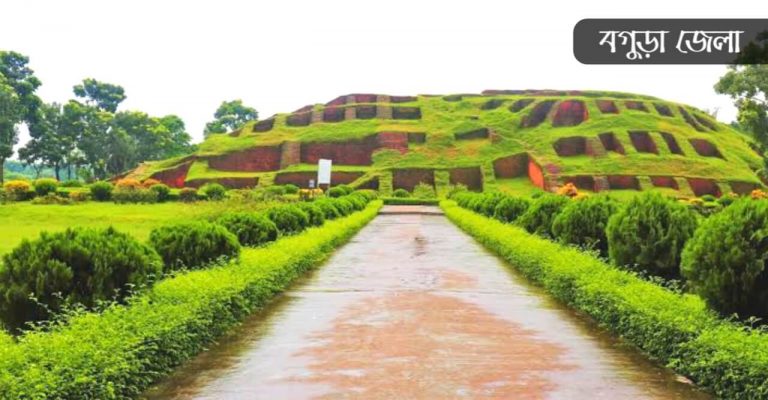বগুড়া কিসের জন্য বিখ্যাত