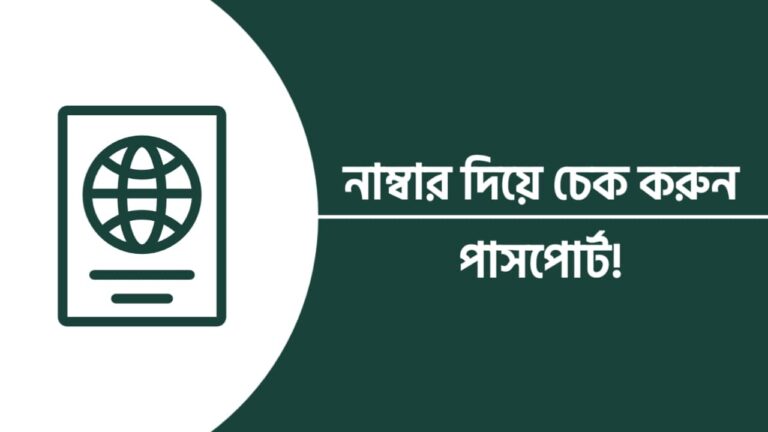 e passport check online