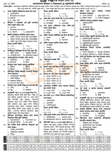 SSC বাংলাদেশের ইতিহাস ও বিশ্বসভ্যতা MCQ
