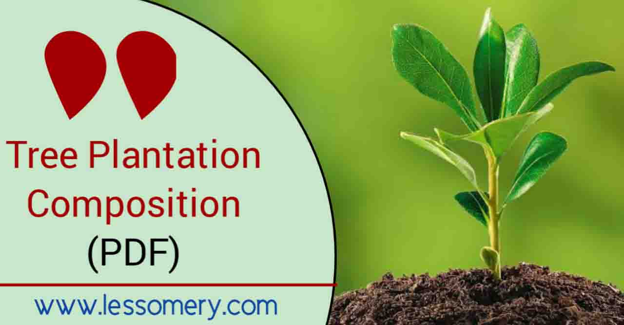 Tree Plantation Composition