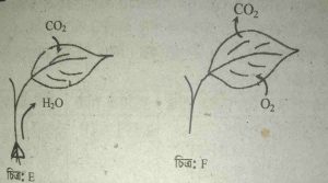নবম দশম জীববিজ্ঞান ৪র্থ অধ্যায় সৃজনশীল প্রশ্ন
