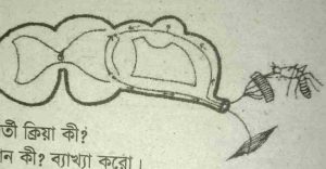 জীববিজ্ঞান ১০ম অধ্যায় সৃজনশীল প্রশ্ন