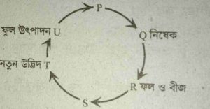 নবম দশম জীববিজ্ঞান ১১ অধ্যায় সৃজনশীল প্রশ্ন